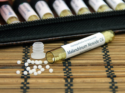 Ein Fläschchen mit Malandinum Nosode C6 und kleinen weißen Kügelchen auf einem Tisch.